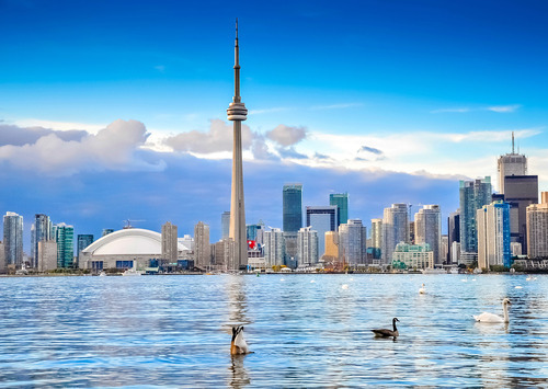 Toronto Toronto Real Estate - MNG Team, Your Trusted Real Estate Professional